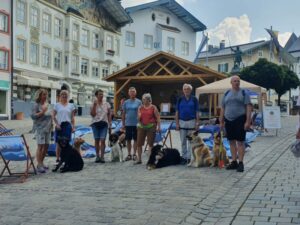 Hundeführerschein 2022 bei der Hundeschule Askom