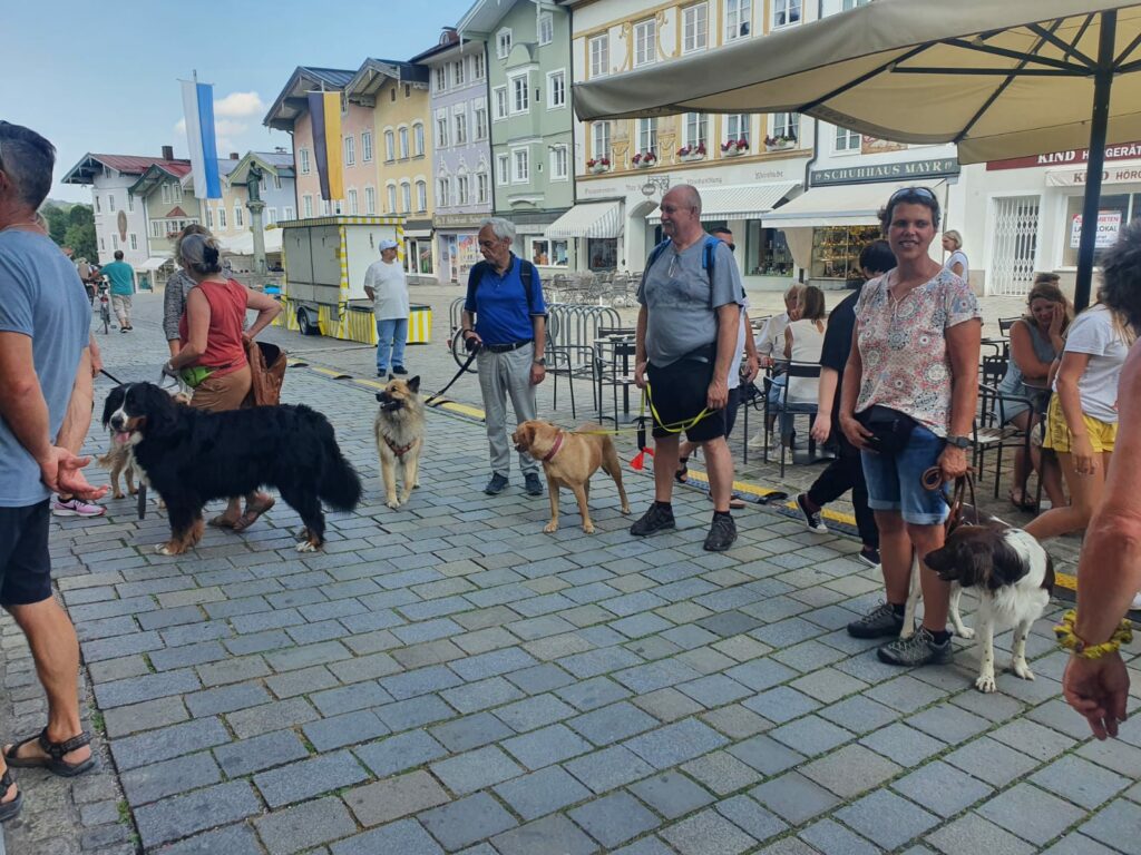 Hundeführerschein 2022 bei der Hundeschule Askom