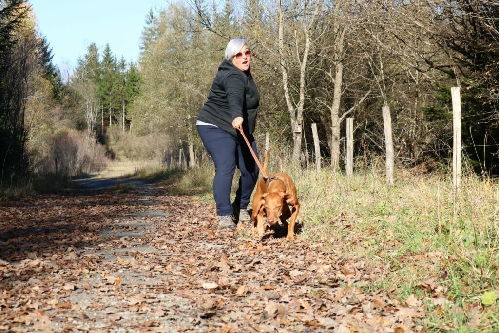 Zieht dein Hund auch an der Leine? Workshop Leinenführigkeit bei der Hundeschule Askom