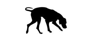 Schnüffelkurs - Zielobjektsuche mit dem Hund - Hundeschule Askom